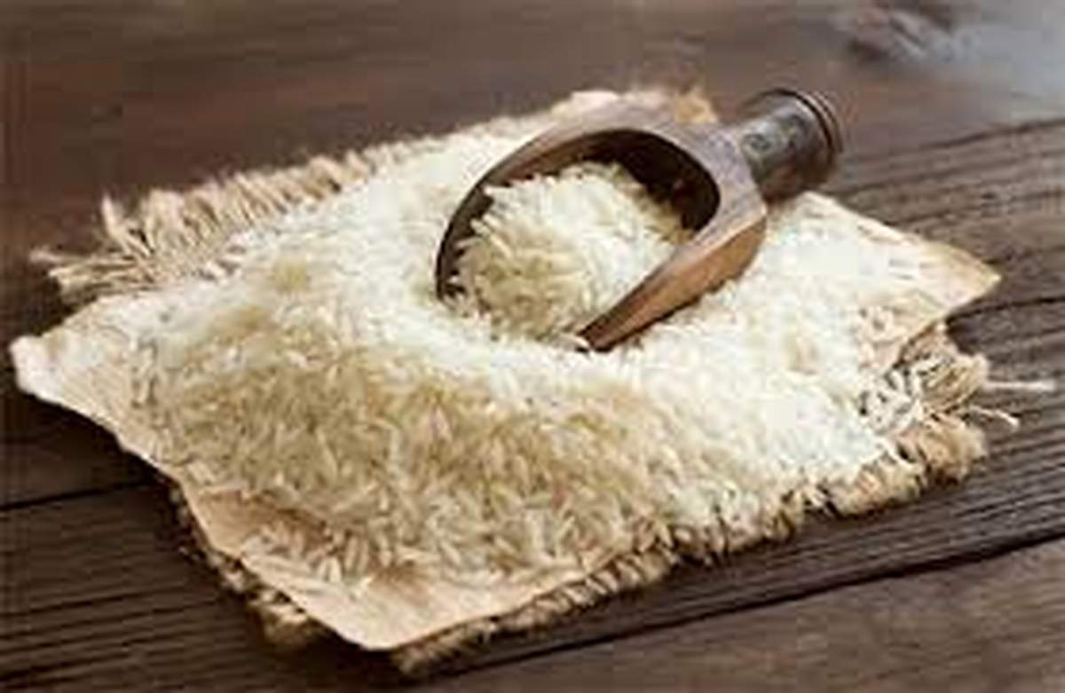 برنج ایرانی؛ نه قاتل سلامتی است نه ضامن چاقی! 